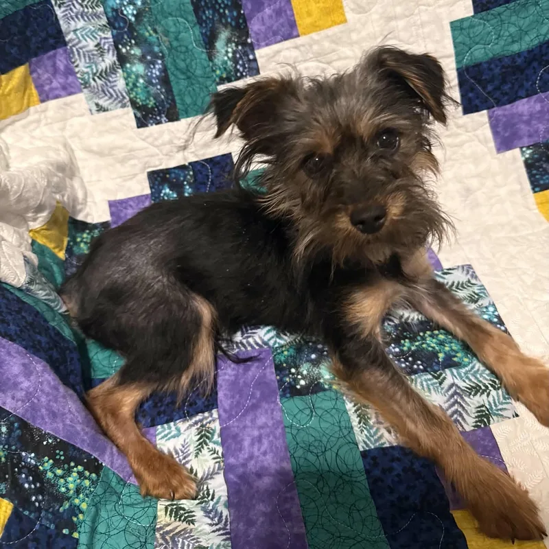 Jax