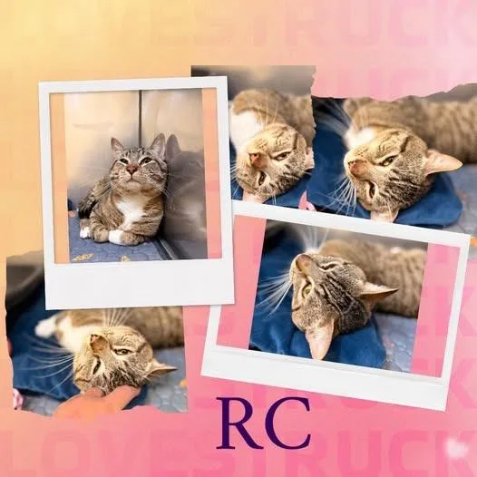 Rc