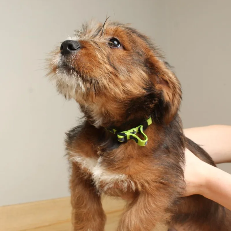 Winston D thumbnail 4