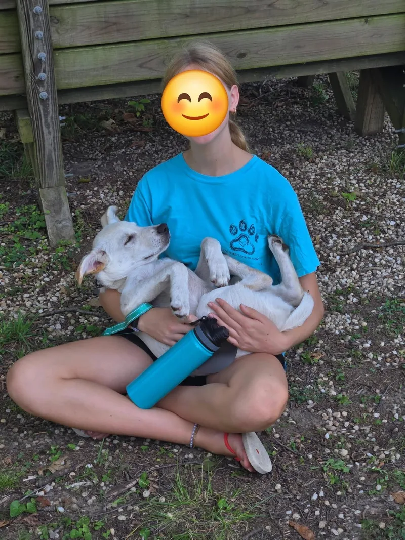 Finn thumbnail 2