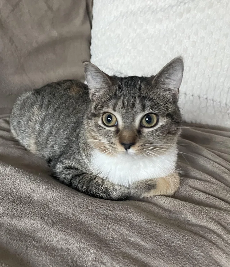 Stephanie And Tiffany thumbnail 2