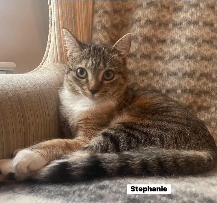 Stephanie And Tiffany thumbnail 3