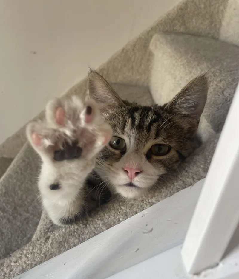 Stephanie And Tiffany thumbnail 4