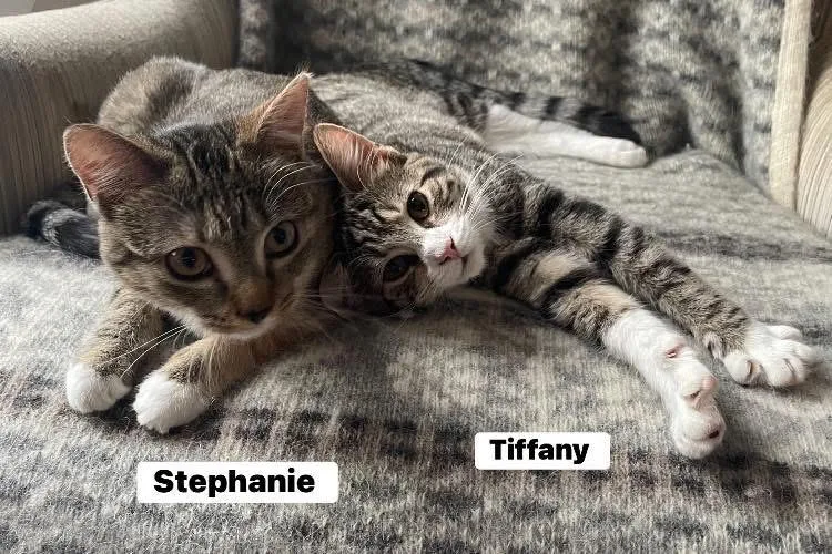 Stephanie And Tiffany