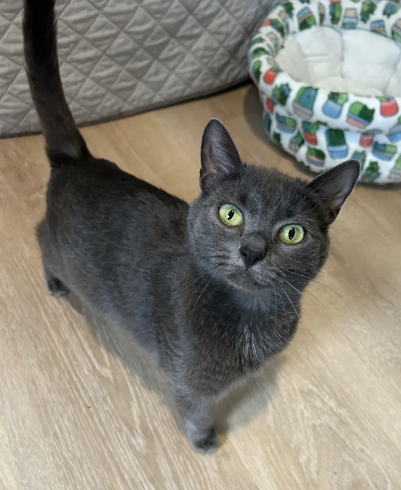 Luna