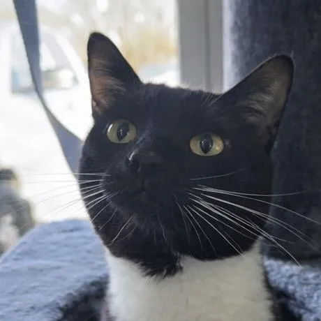 Chef Boyardon't thumbnail 2