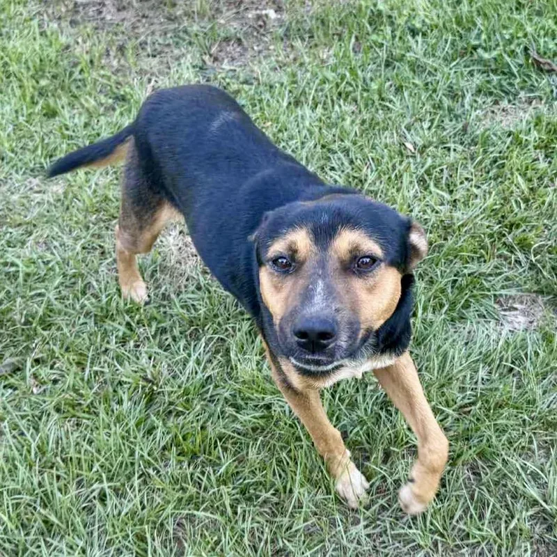 Sam The Man thumbnail 4