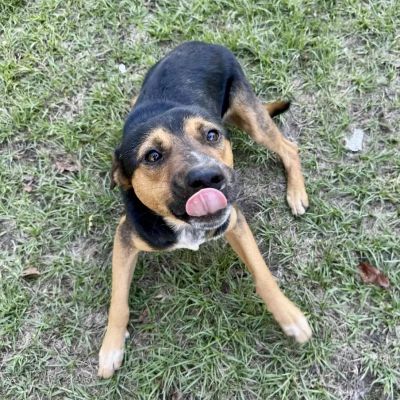 Sam The Man thumbnail 5