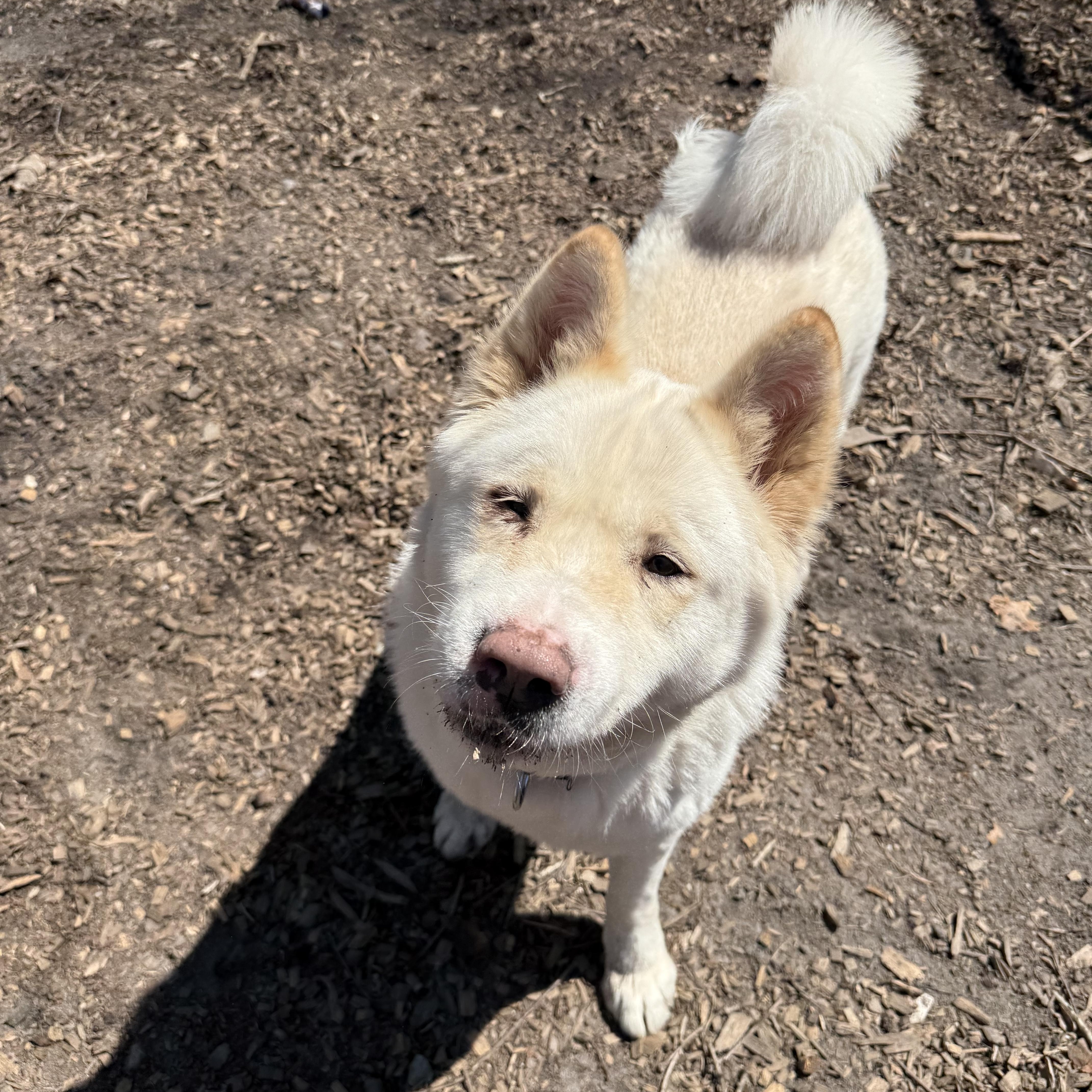 Ghost Bunny thumbnail 5