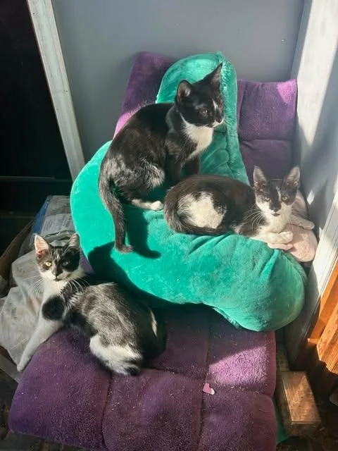 Darling And Rascal thumbnail 2