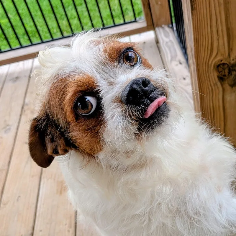 Sid Arthur thumbnail 2