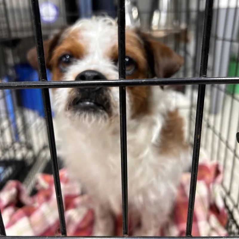 Sid Arthur thumbnail 3