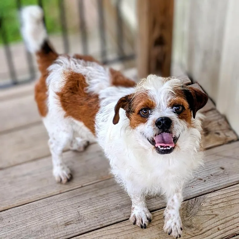 Sid Arthur thumbnail 4