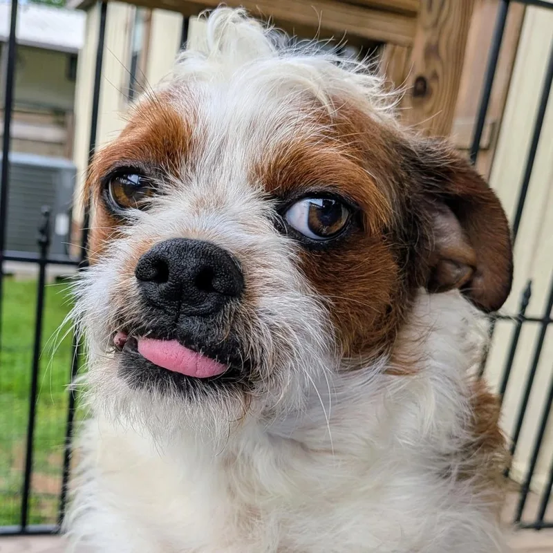 Sid Arthur thumbnail 5