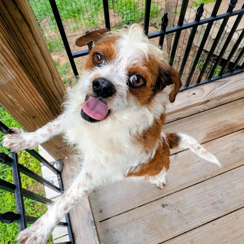 Sid Arthur thumbnail 6