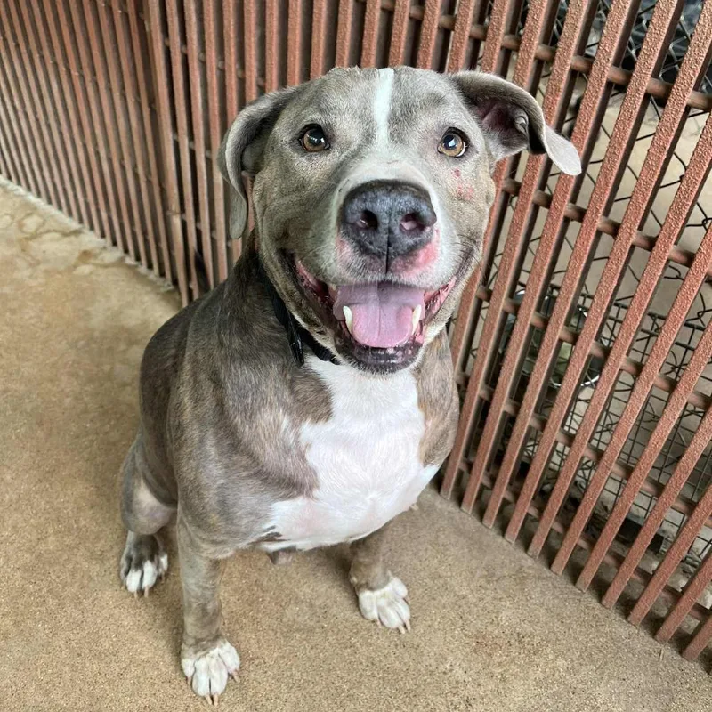Ruger