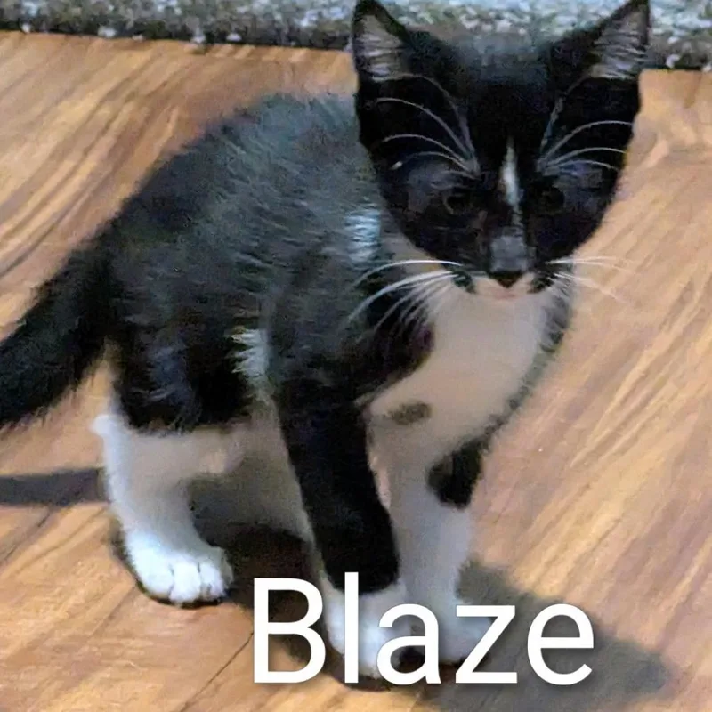 Blaze