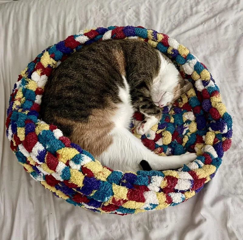 Sandy Cheeks thumbnail 2