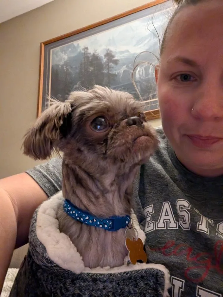 Pappie thumbnail 2