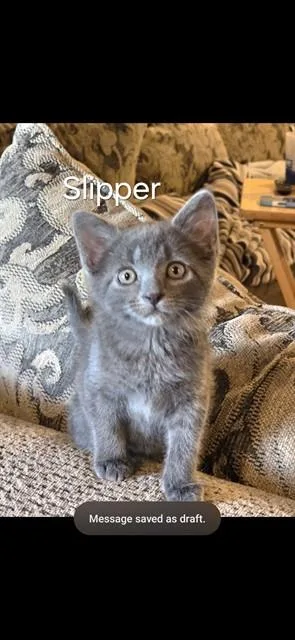 Slipper