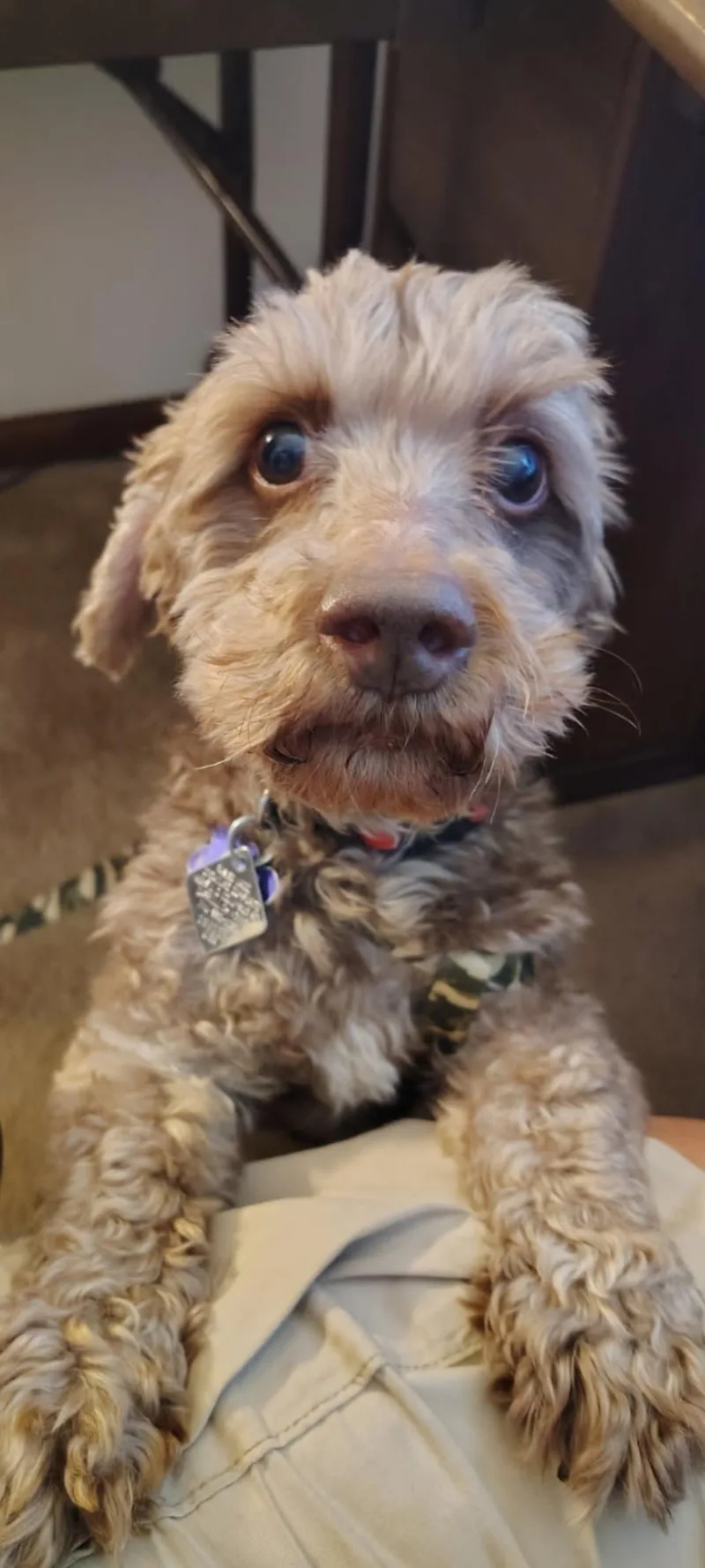 Ricky  Fairfield thumbnail 2