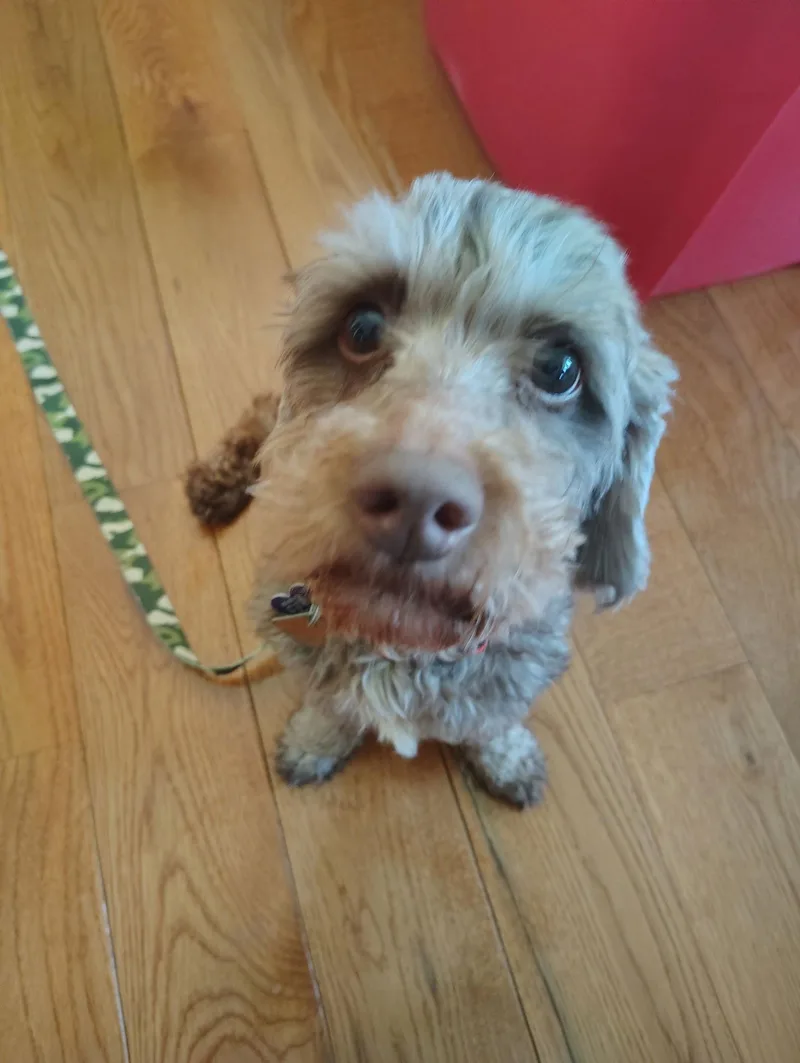 Ricky  Fairfield thumbnail 3