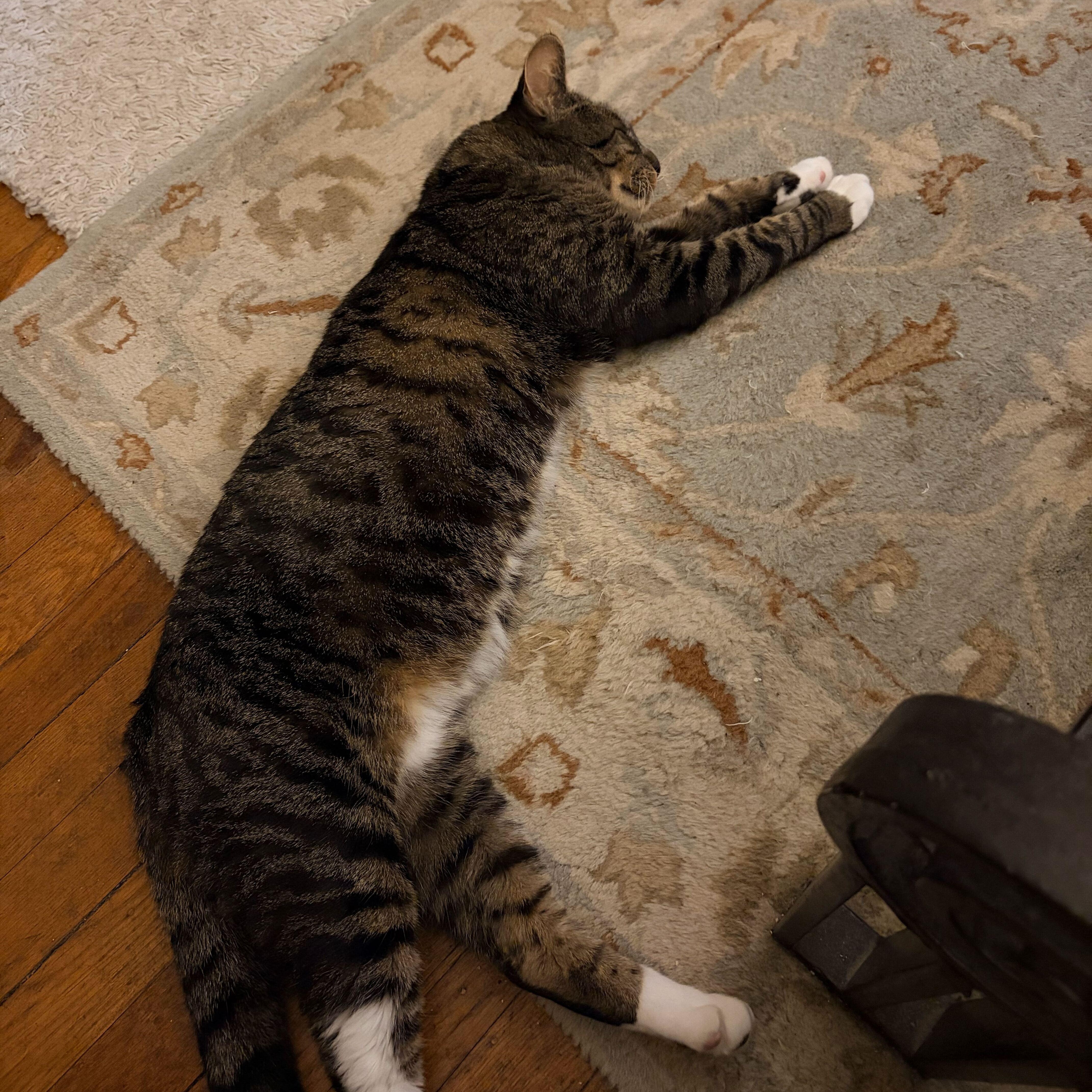 Sweet Pickles thumbnail 2
