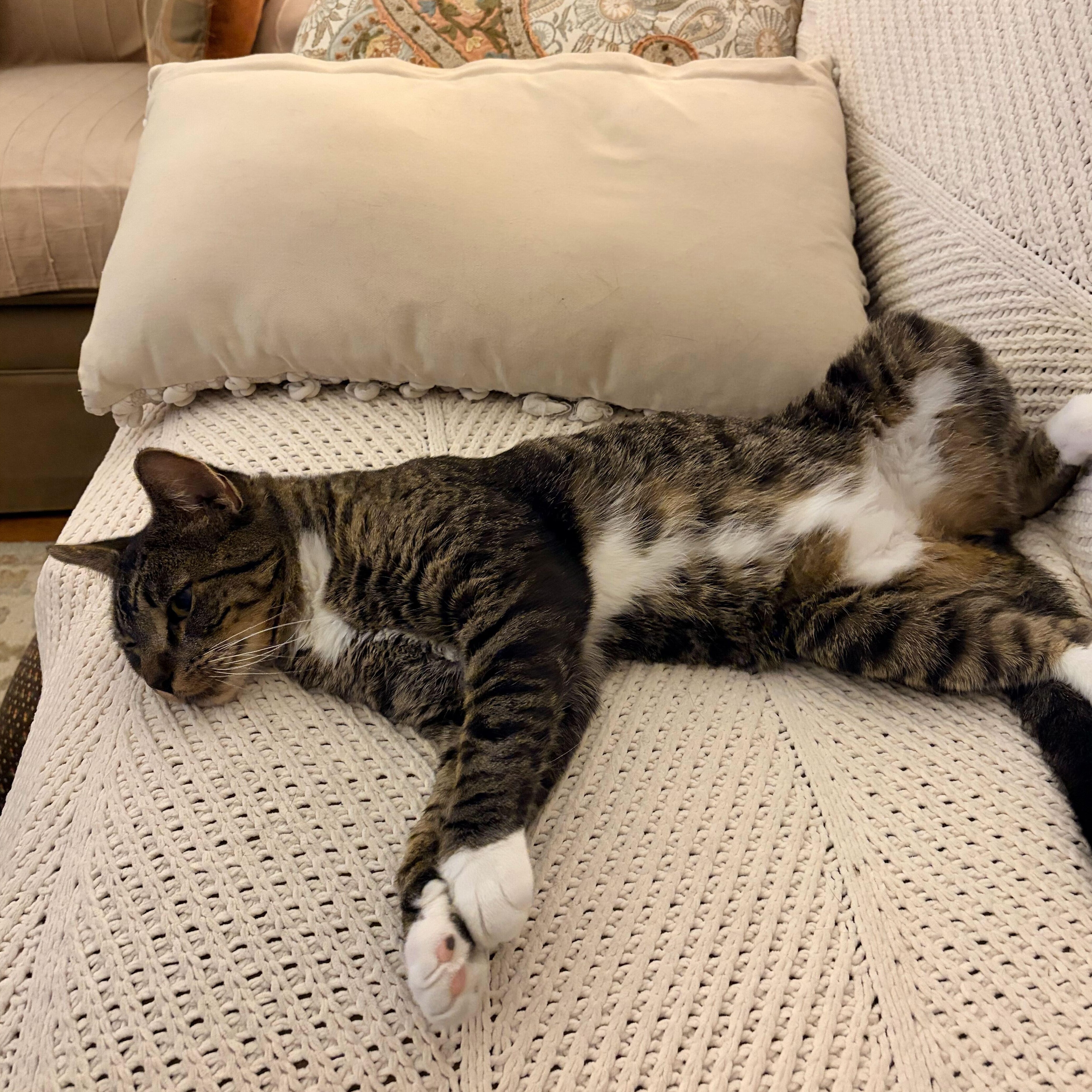 Sweet Pickles thumbnail 3