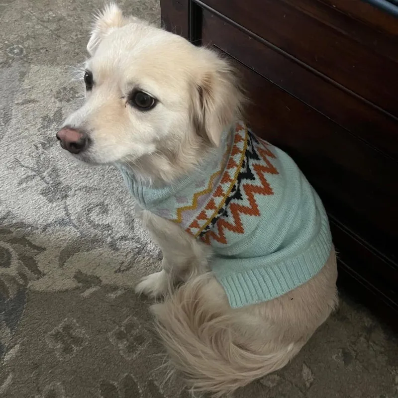 Godiva Y thumbnail 4