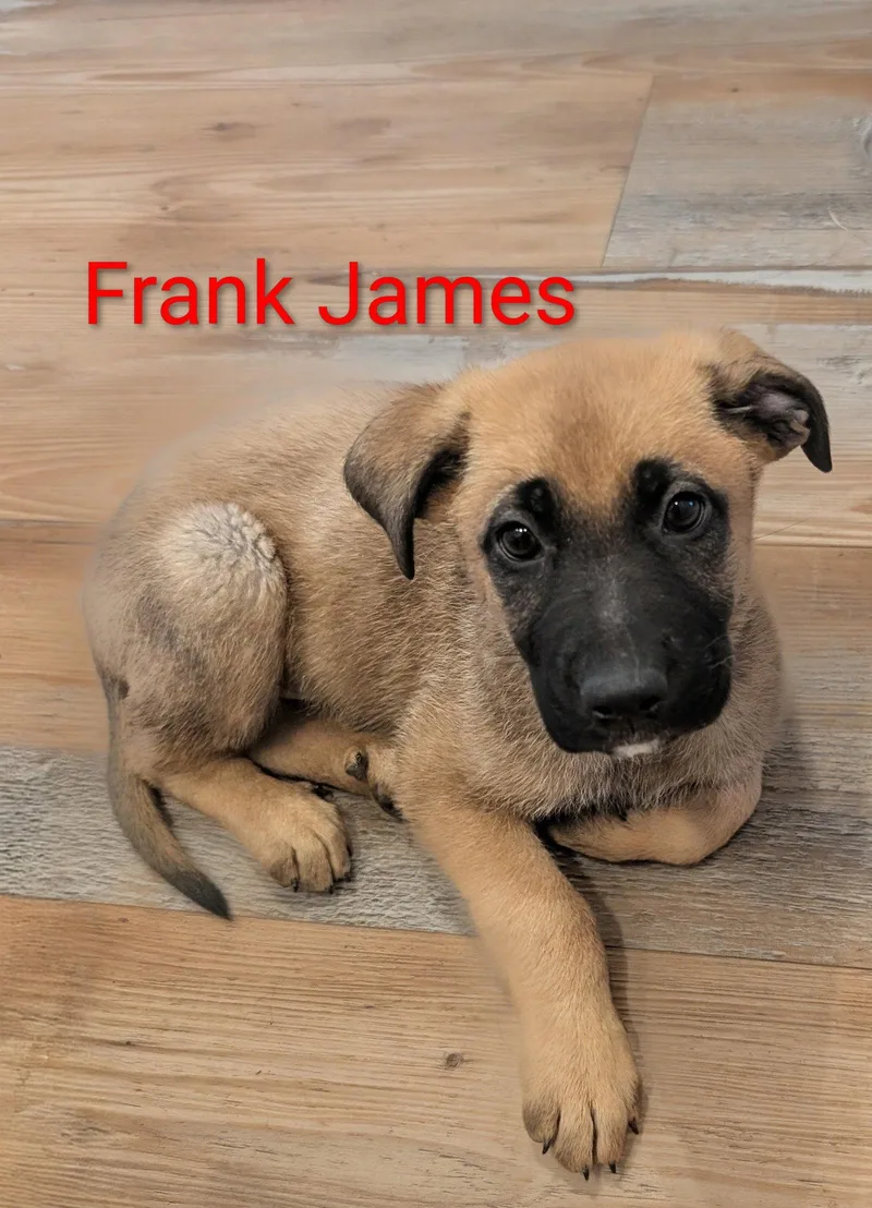 Frank James thumbnail 2