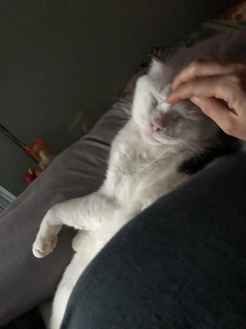 Casper The Smart And thumbnail 6