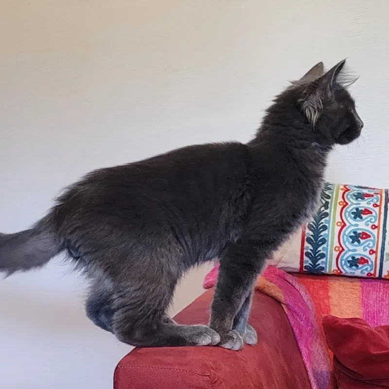 Klondike
