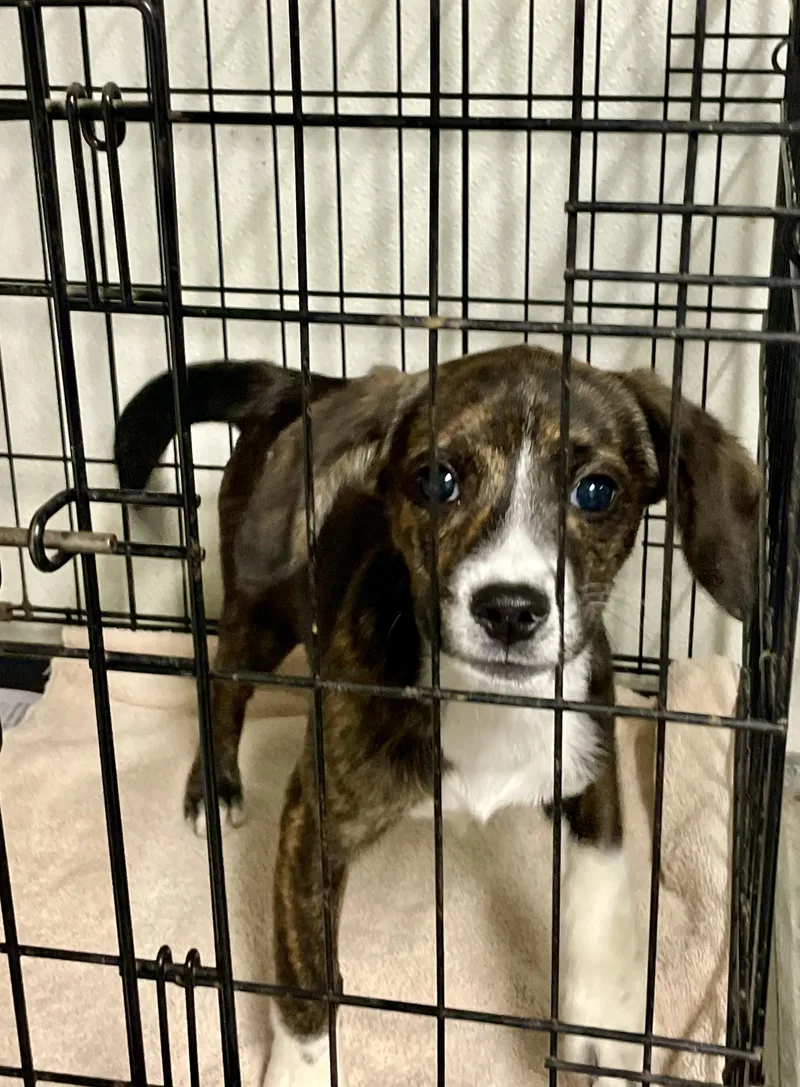 Robin & Ted thumbnail 2