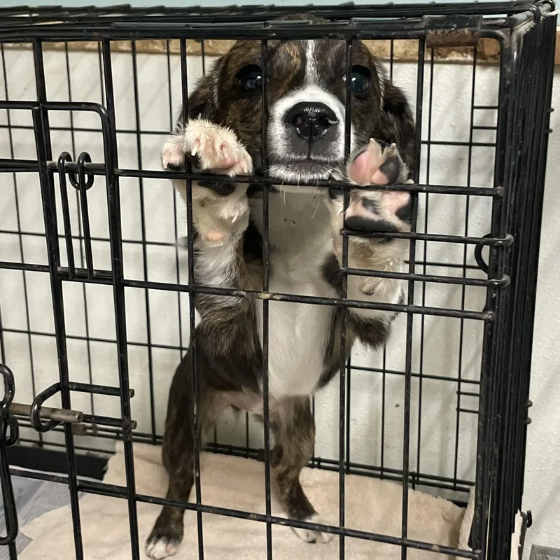 Robin & Ted thumbnail 3