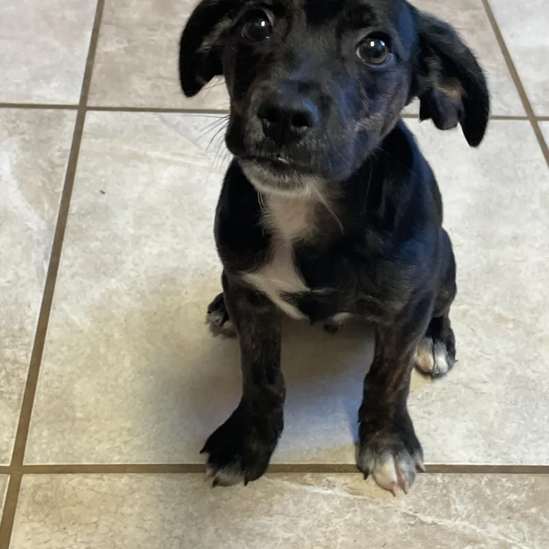 Robin & Ted thumbnail 4