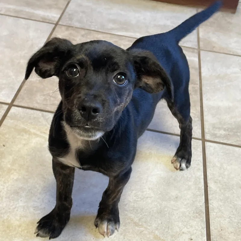 Robin & Ted thumbnail 5