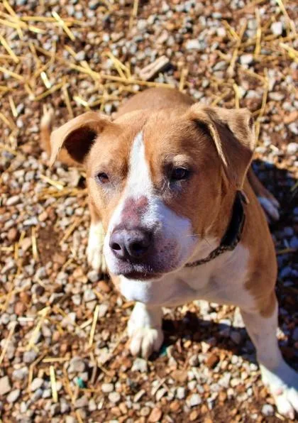 Sassy thumbnail 3