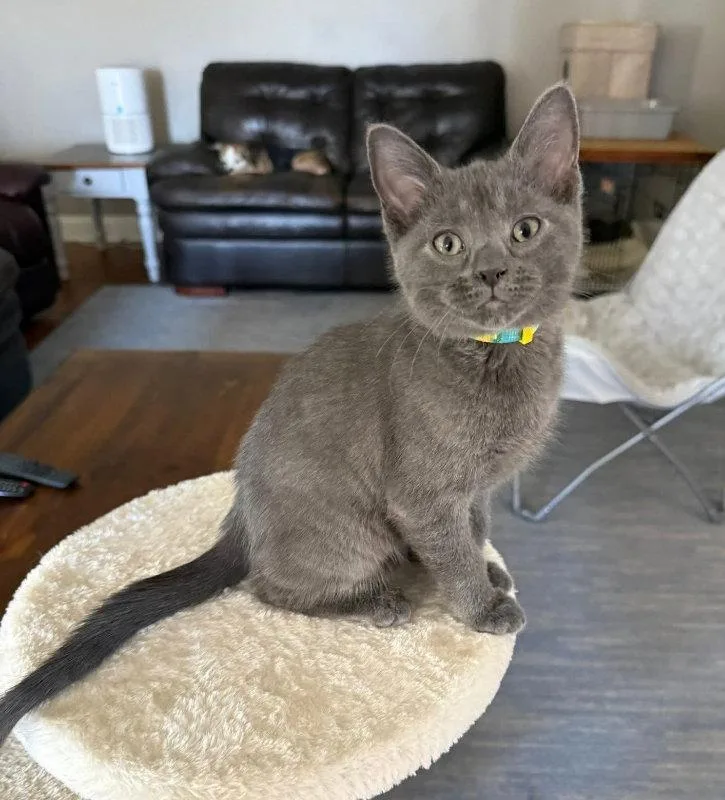 Sunshine thumbnail 2