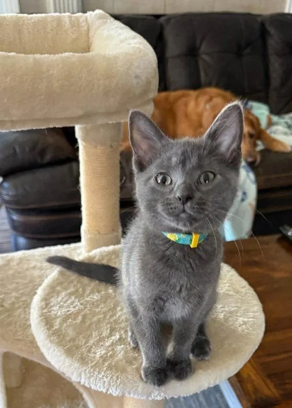 Sunshine thumbnail 3