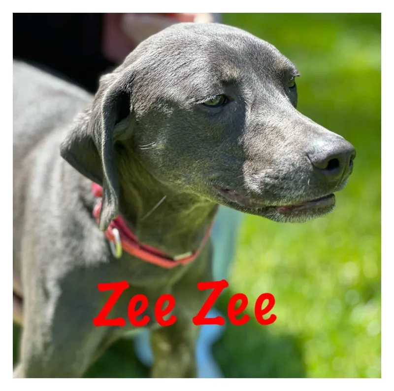 Zee Zee thumbnail 2