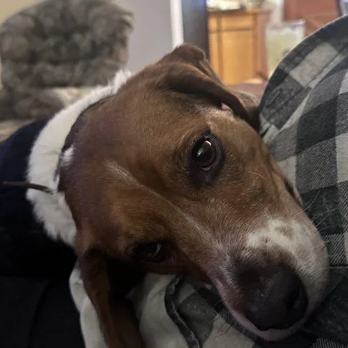 Winchester thumbnail 2