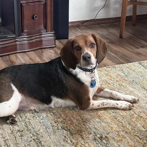 Winchester thumbnail 3