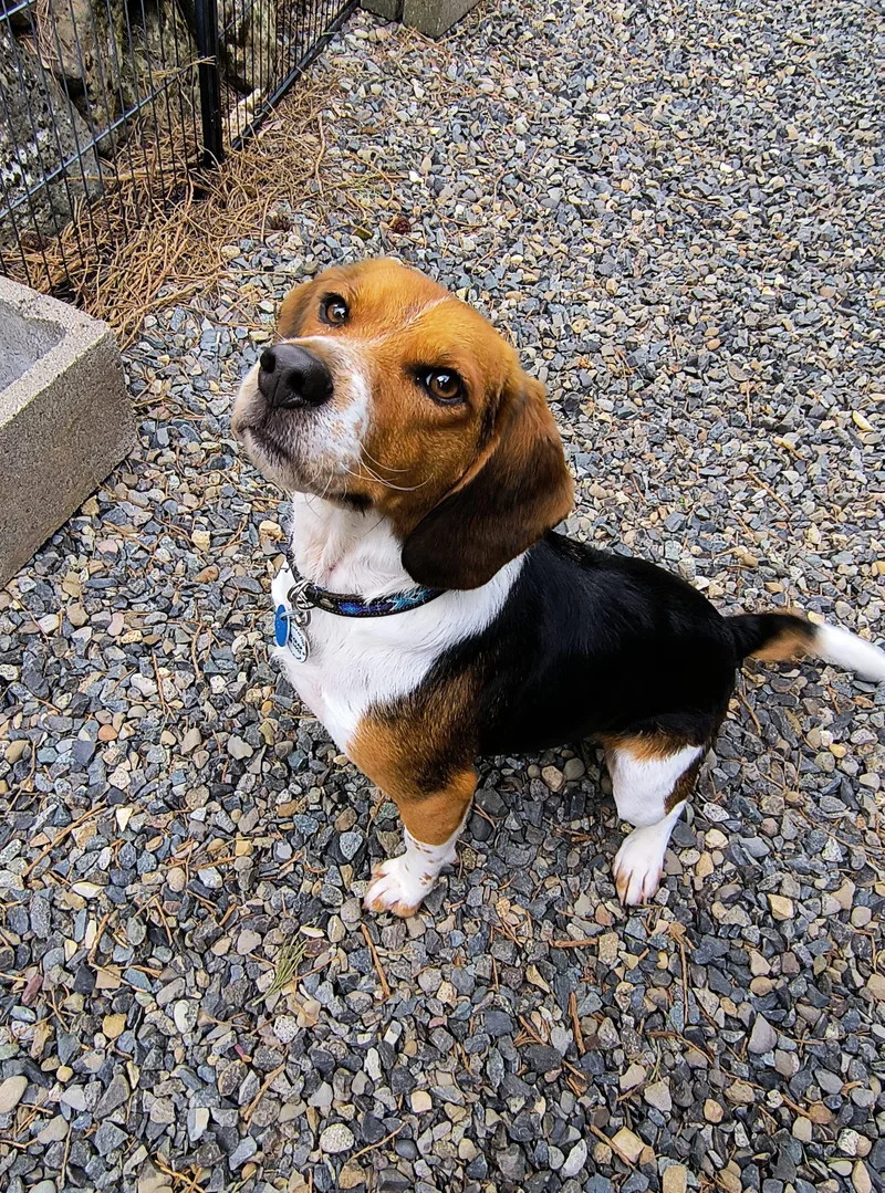 Winchester thumbnail 4