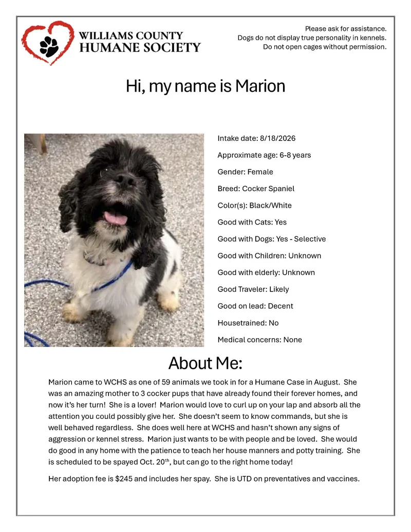 Marion thumbnail 2