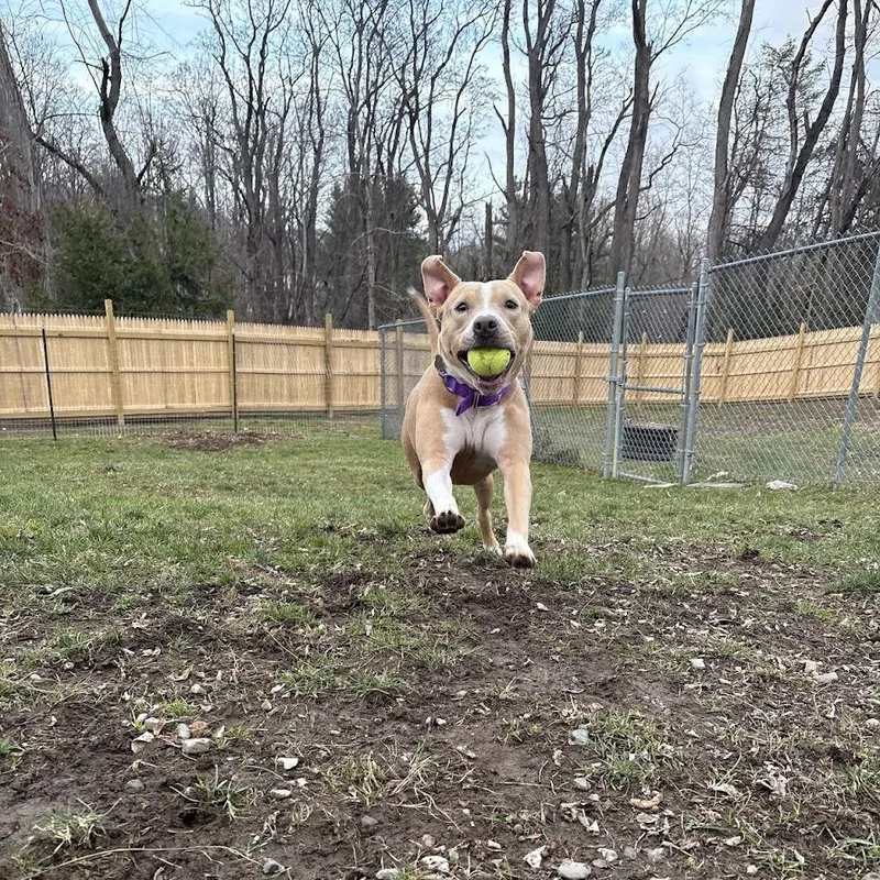 Zoey thumbnail 2