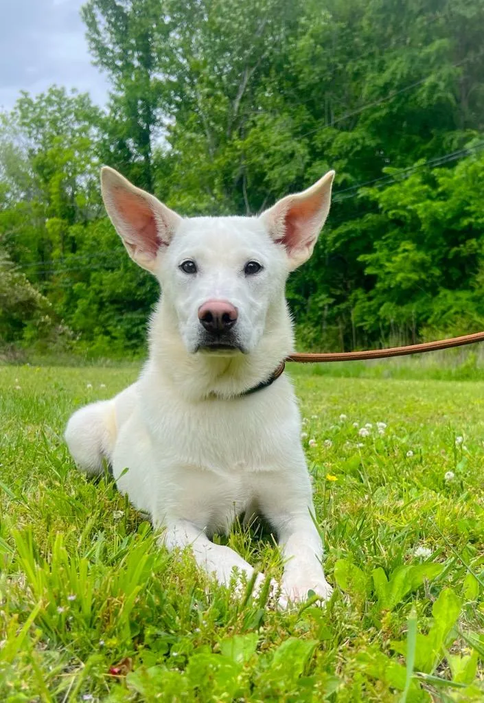 Andie thumbnail 2