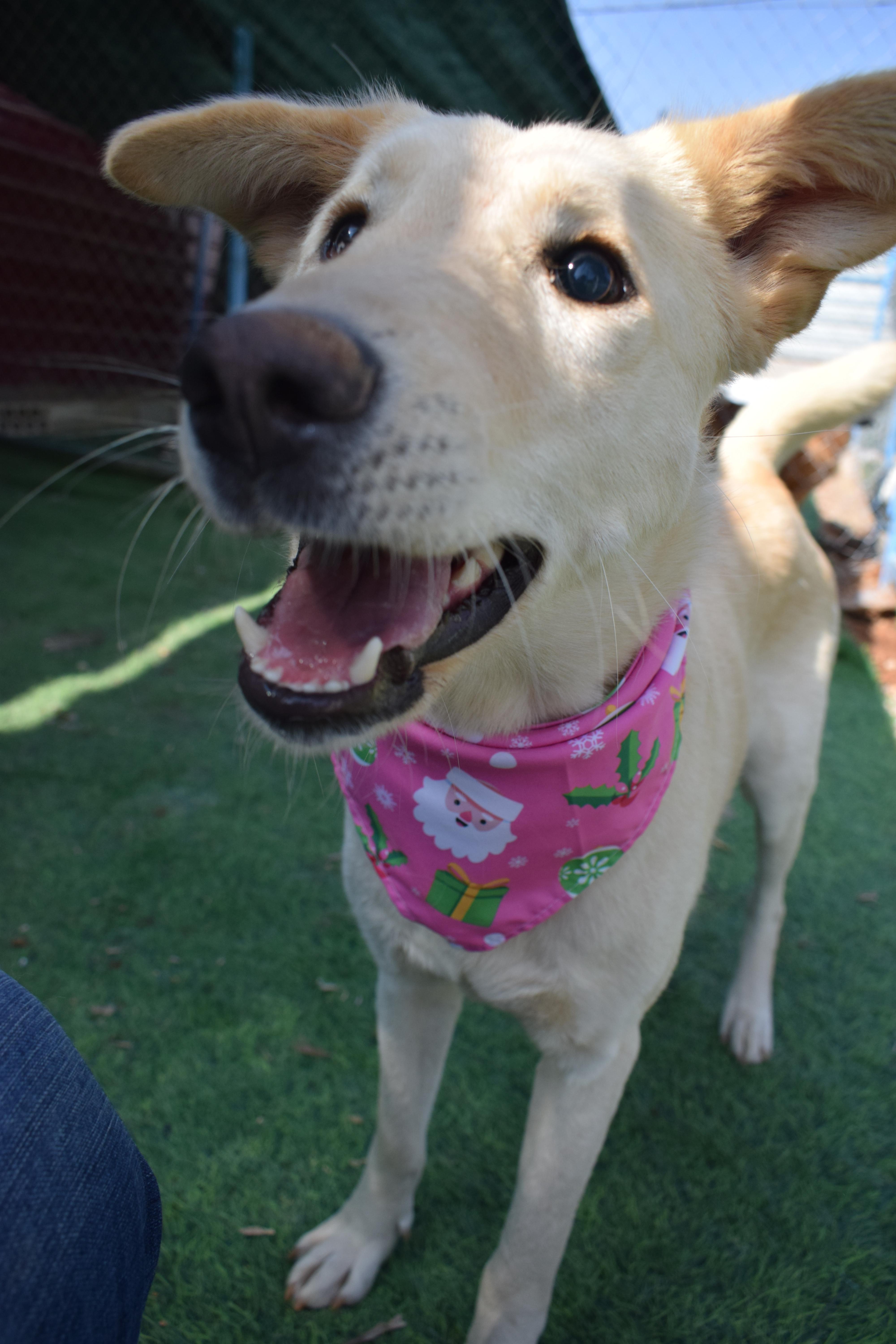 Naya  The Kindest thumbnail 2