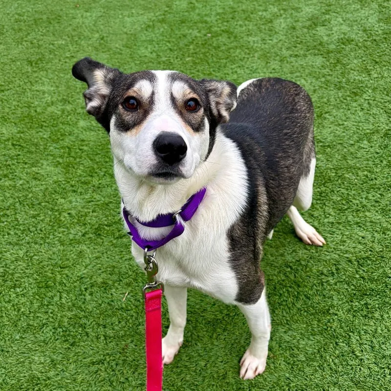 Sparkles thumbnail 2