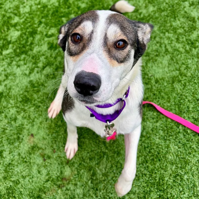 Sparkles thumbnail 3