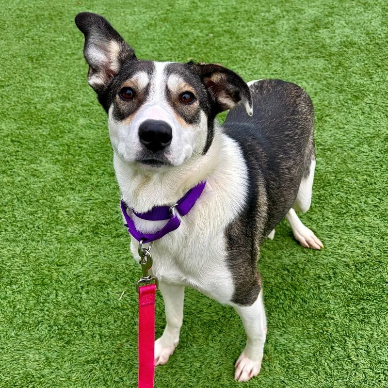 Sparkles thumbnail 4